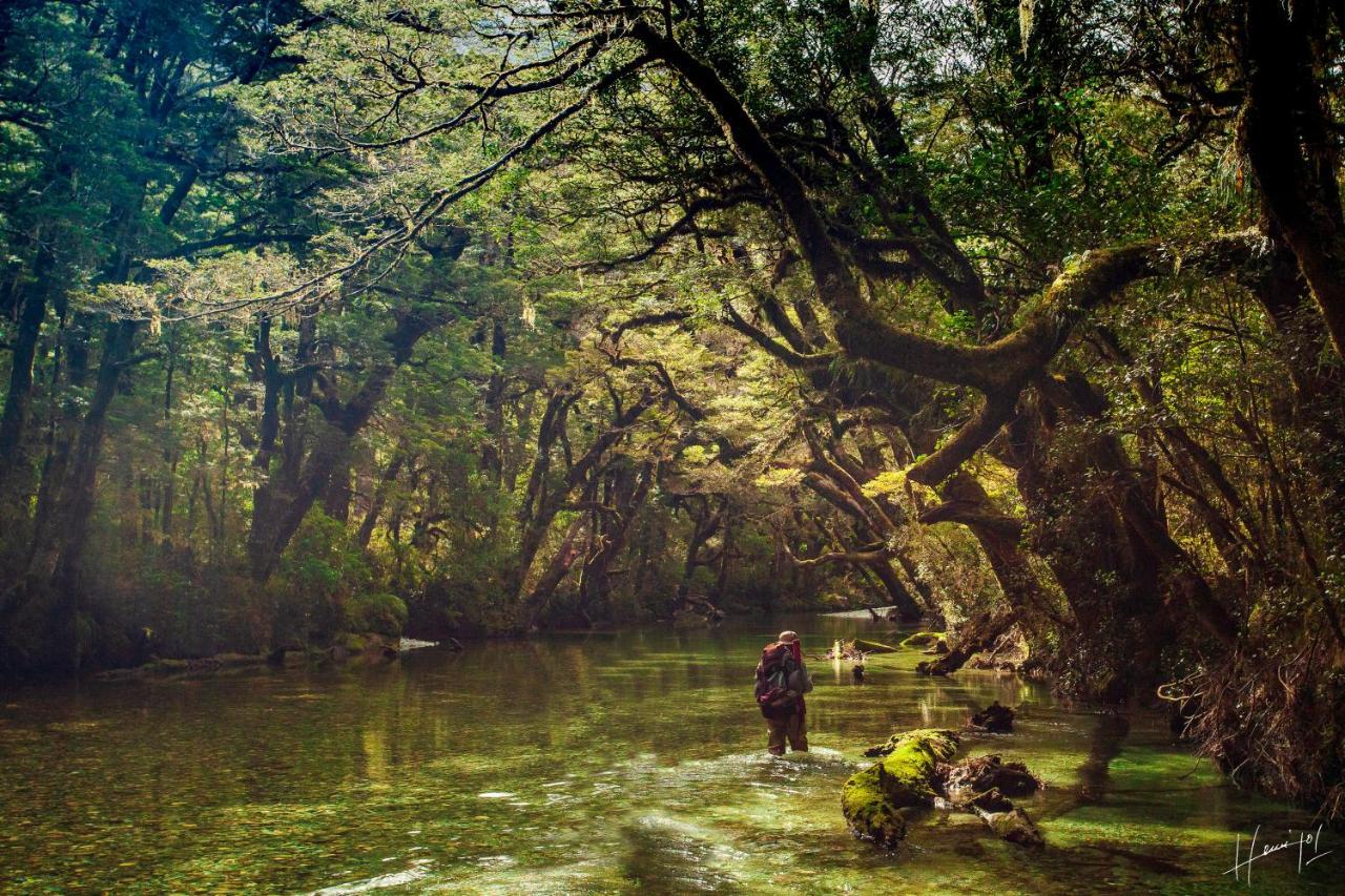 Hermoso Eco Lodge San Martín de los Andes Esterno foto