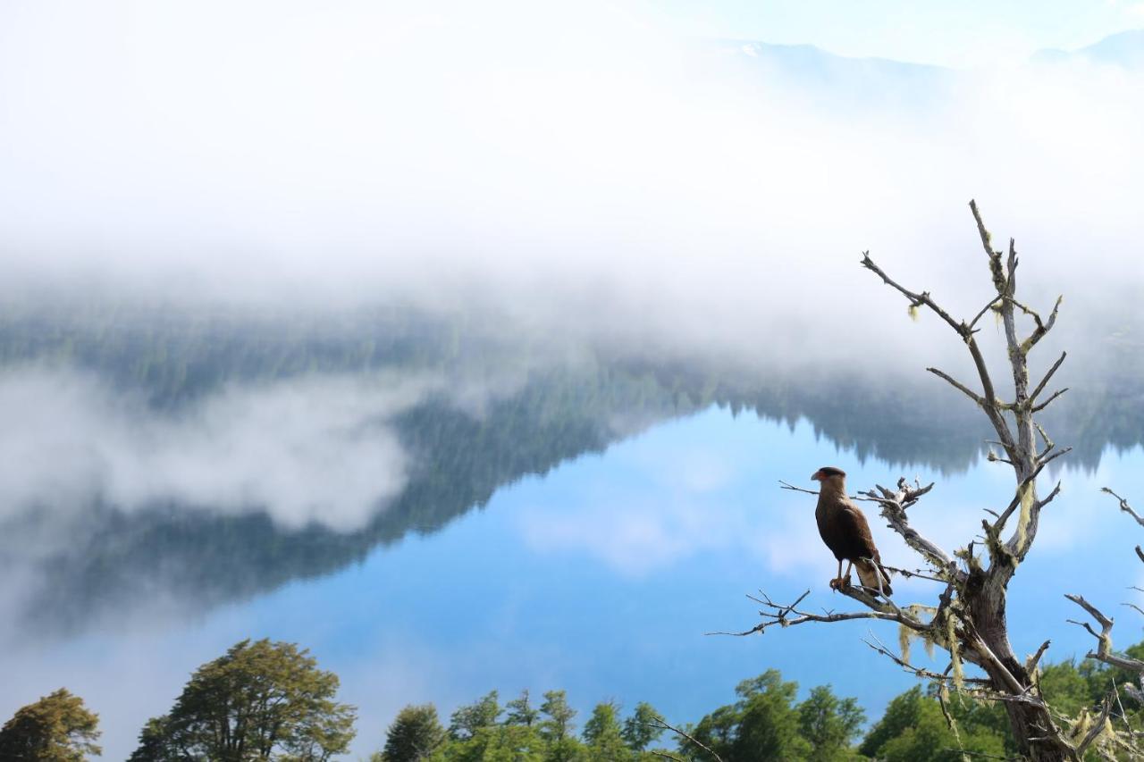 Hermoso Eco Lodge San Martín de los Andes Esterno foto