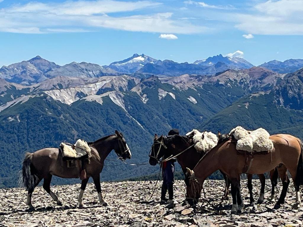 Hermoso Eco Lodge San Martín de los Andes Esterno foto